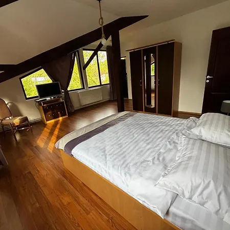 Holiday home Casa Cu Padure