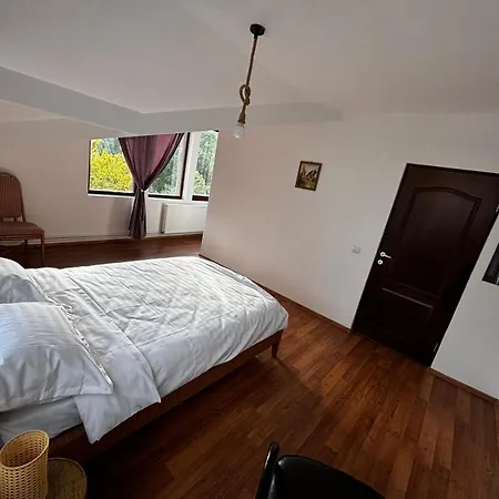Casa Cu Padure