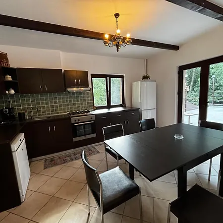 Casa Cu Padure Holiday home *