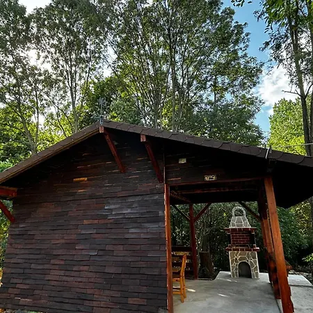 Holiday home Casa Cu Padure